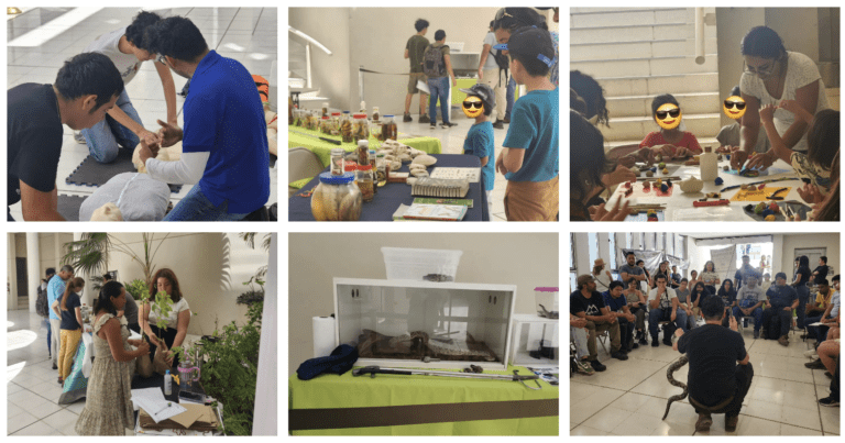 Crónica del 3er Festival Mexicano de las Serpientes: Un Fin de Semana de Conocimiento y Apreciación en el Centro Cultural Olimpo